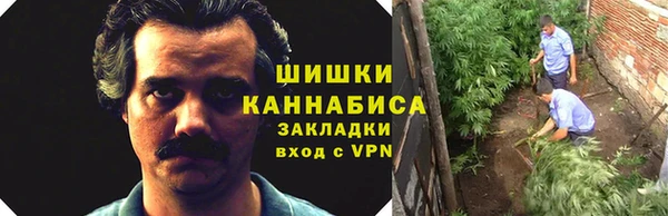 ПСИЛОЦИБИНОВЫЕ ГРИБЫ Алексеевка