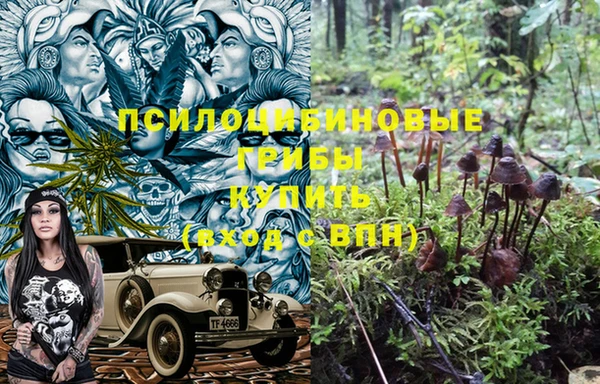 ПСИЛОЦИБИНОВЫЕ ГРИБЫ Алексеевка