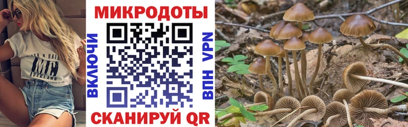 Псилоцибиновые грибы MAGIC MUSHROOMS Сокол
