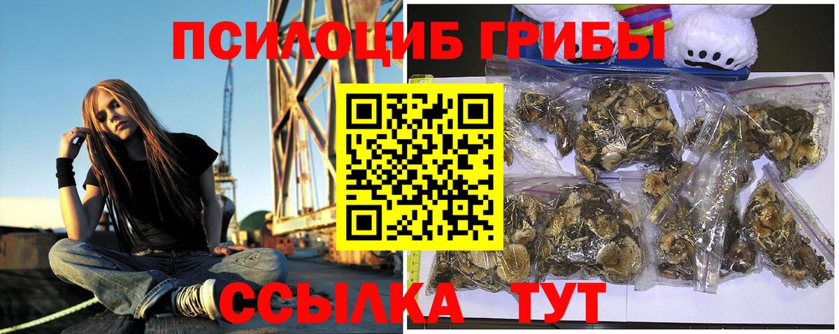 как найти наркотики  Галлюциногенные грибы прущие грибы  Вход с VPN  Сокол 