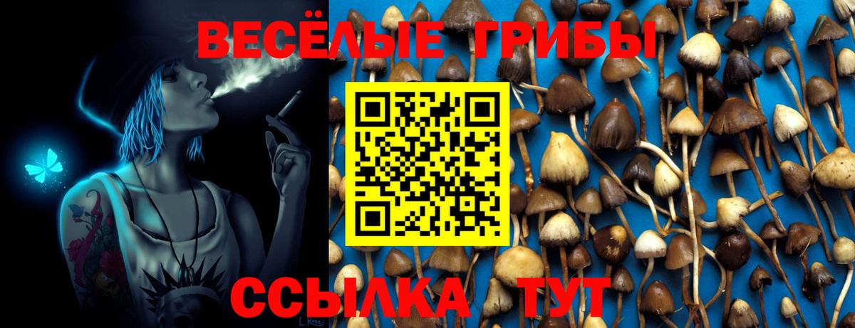 Галлюциногенные грибы ЛСД Сокол